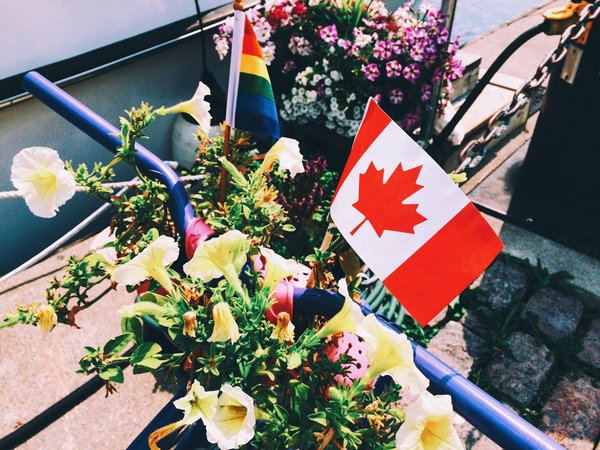 Blog Canada : tous les détails à ne pas manquer