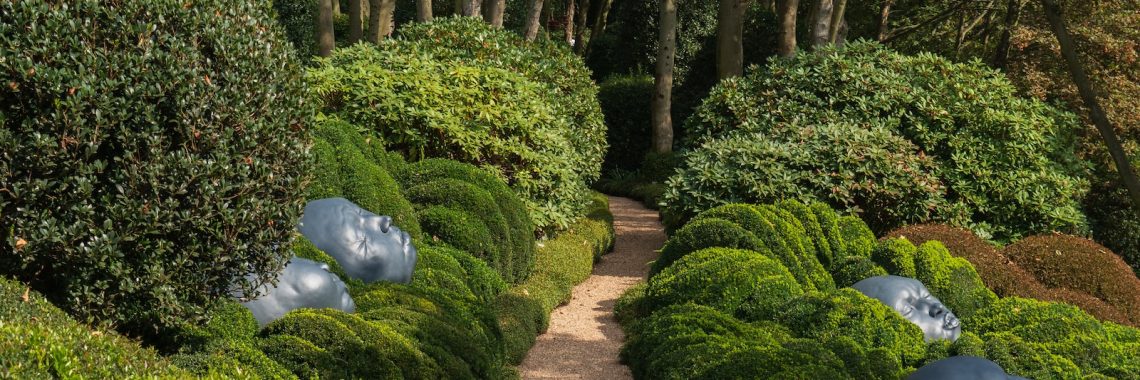 green plants on brown brick pathway