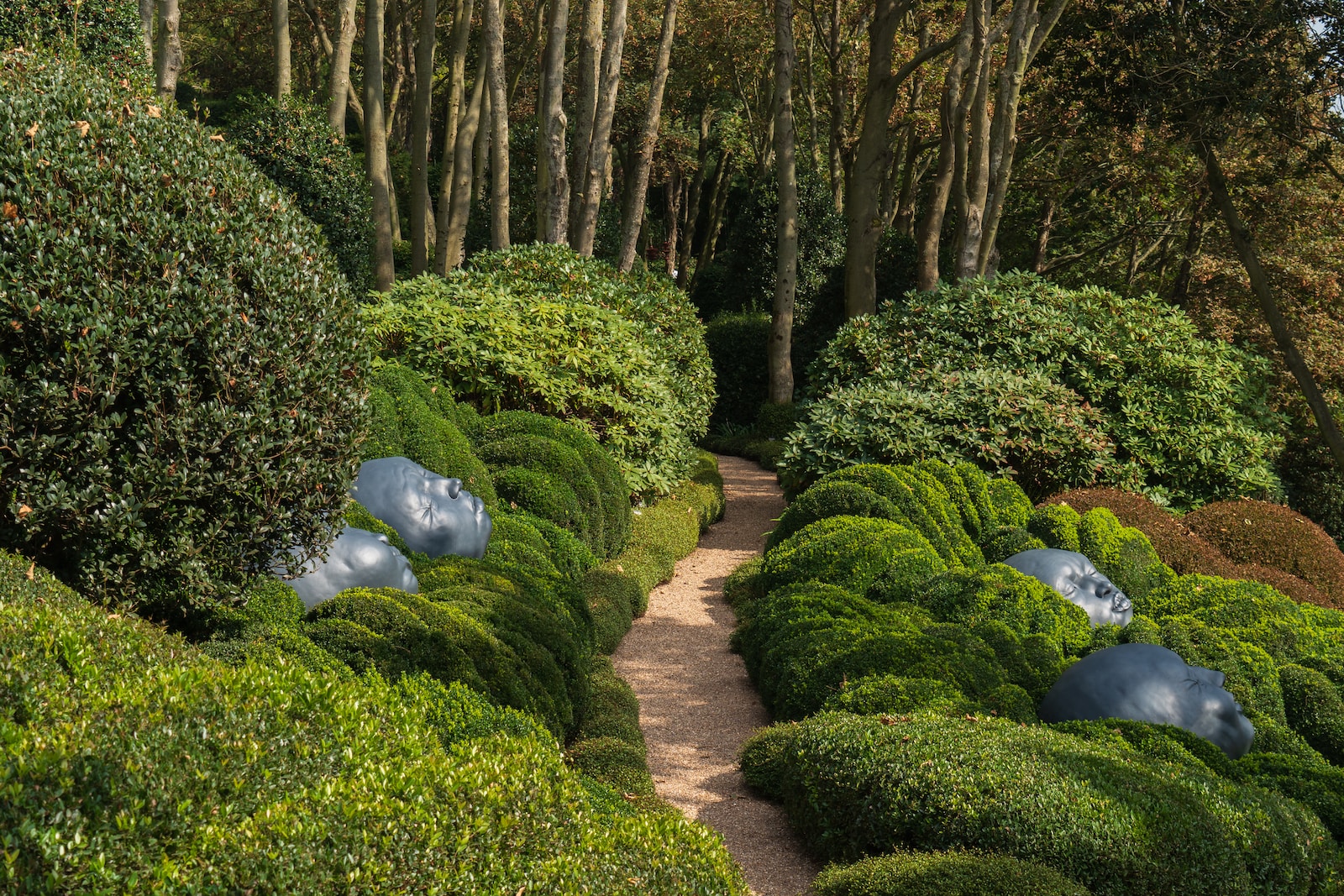 green plants on brown brick pathway